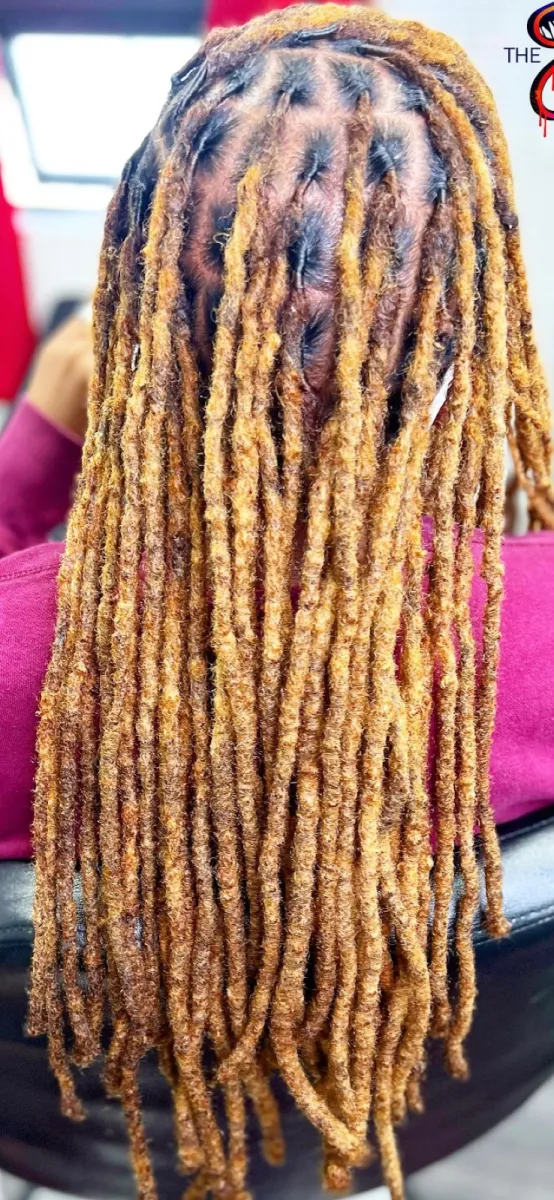 Long locs in a honey blonde ombre, freshly retwisted.