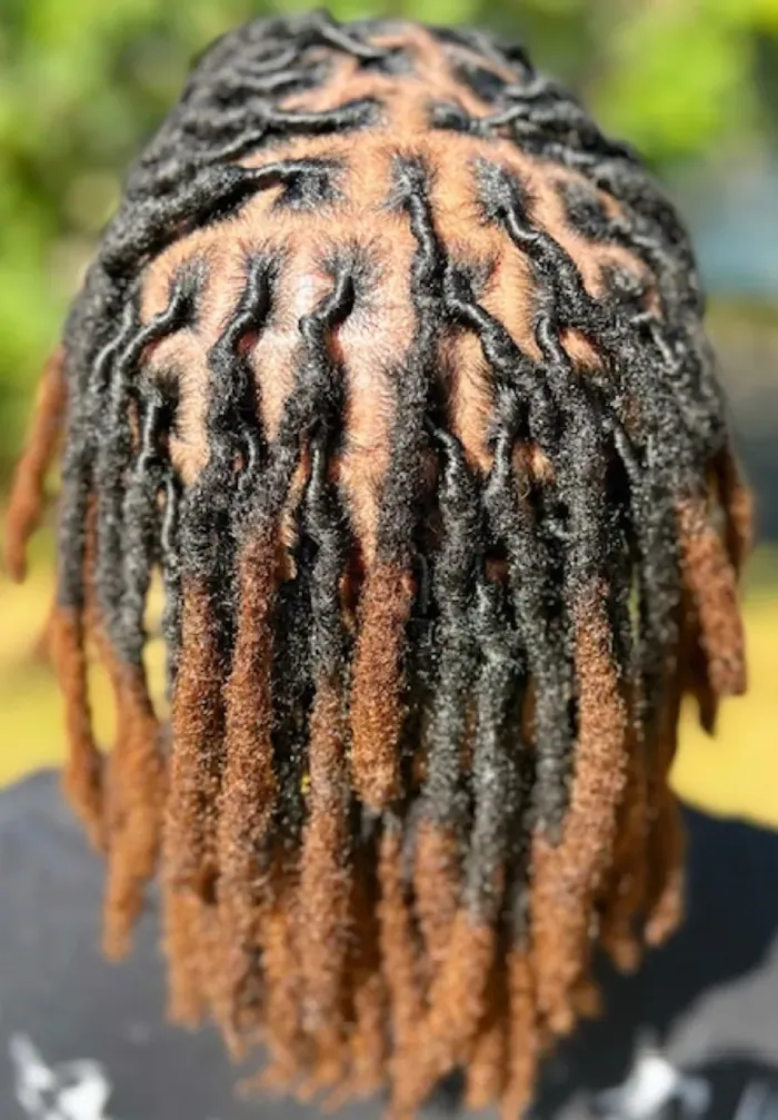 Shoulder-length locs freshly retwisted with even, clean parts.